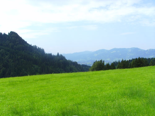 Blick ins Allgäu 1