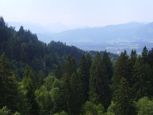 Blick ins Allgäu 3