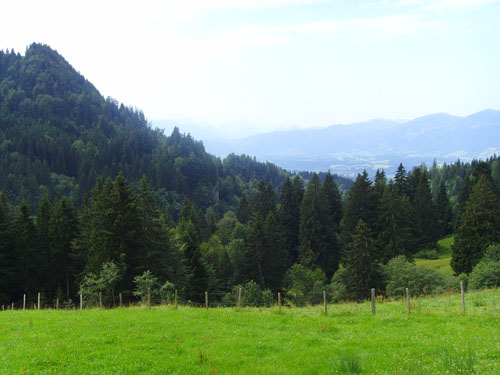 Blick ins Allgäu 5